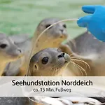 Strandnahe Familien-oase Mit Hund Norden