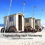 Lejlighed Strandnahe Familien-oase Mit Hund *