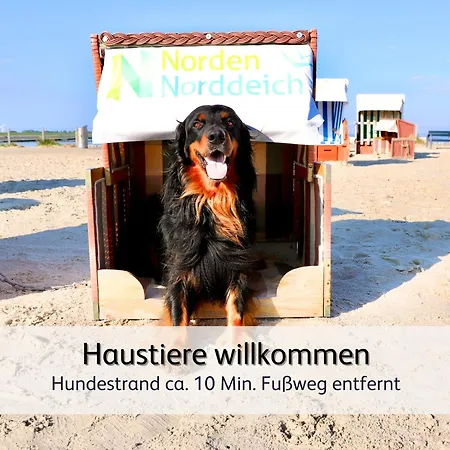 Ideal Fuer Familien & Fellnasen, Strandnah Appartement Norden