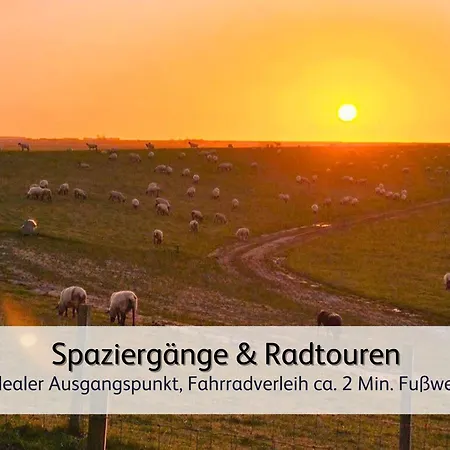 Ideal Fuer Familien & Fellnasen, Strandnah * Norden
