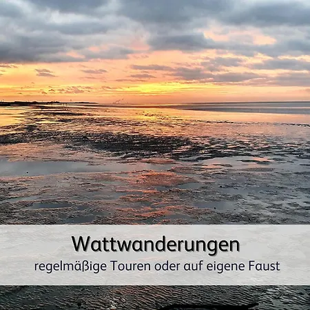 Strandnahe Familien-oase Mit Hund * Norden