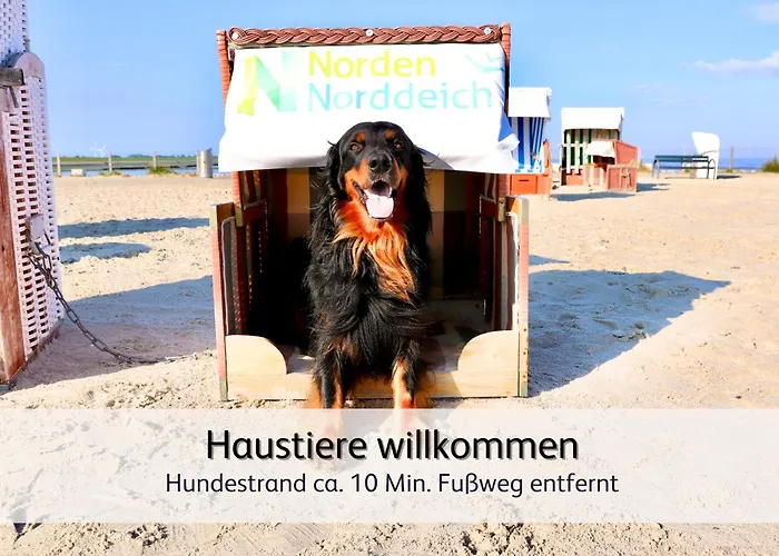 Ideal Fuer Familien & Fellnasen, Strandnah Апартаменты Норден