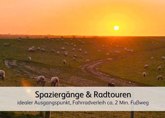 Ideal Fuer Familien & Fellnasen, Strandnah * Норден